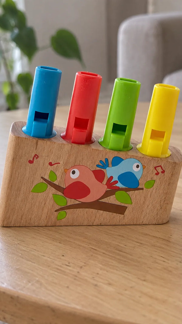 Flauta de Pã Arco-Íris Hape CLI2