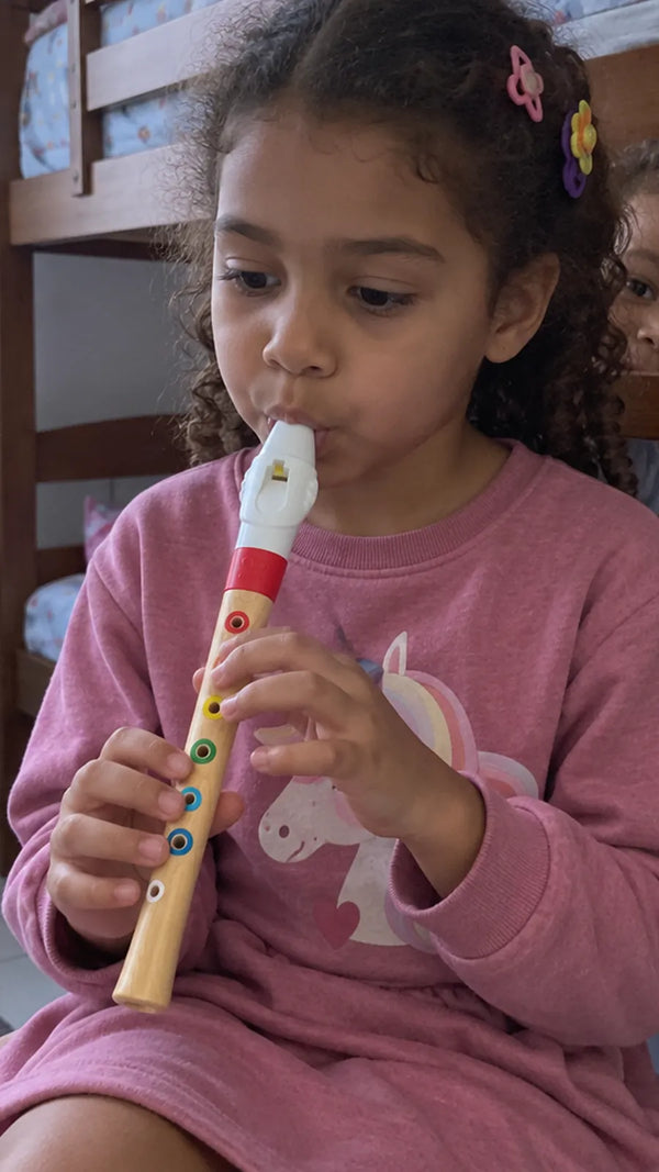 Mini Flauta Doce Hape CLI5