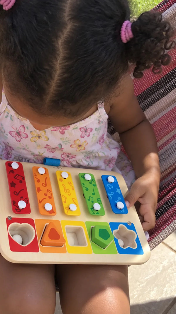 Cliente com o Xilofone Classificador de Formas Hape 4