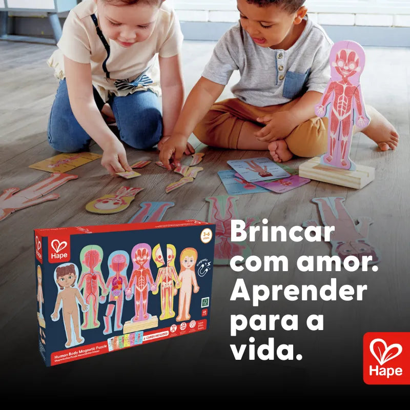 Quebra-cabeça Magnético do Corpo Humano 4 Camadas | HAPE