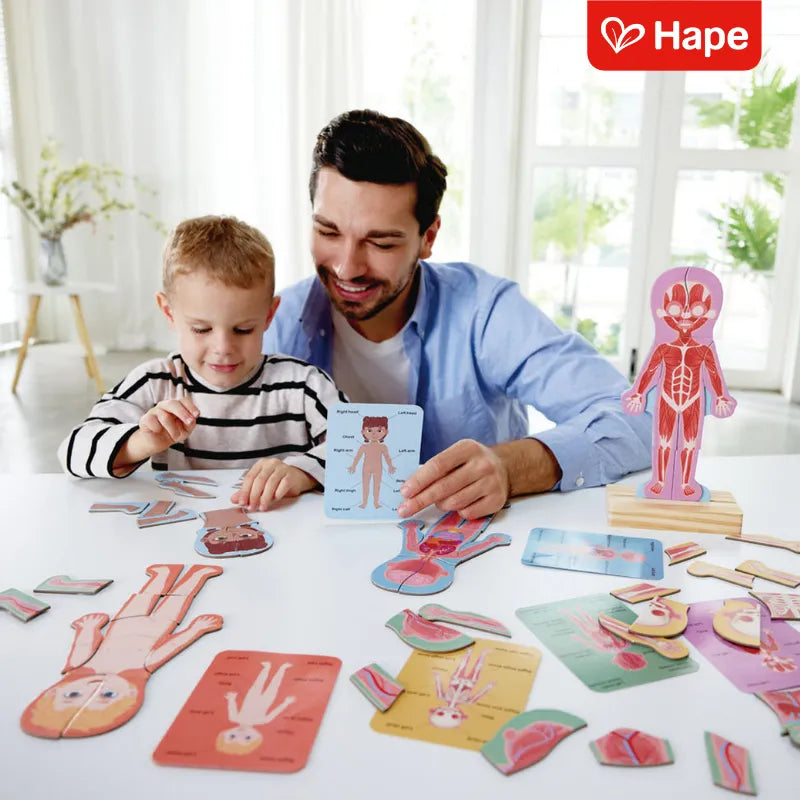 Quebra-cabeça Magnético do Corpo Humano 4 Camadas | HAPE