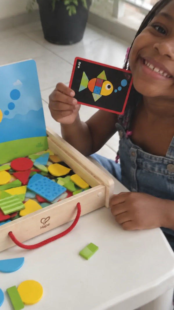 Caixa de Arte Magnética Hape CLI2