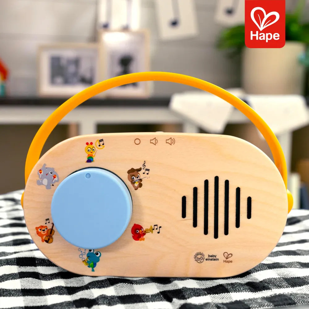 Rádio Discovery FM Magic Touch Hape - imagem 7
