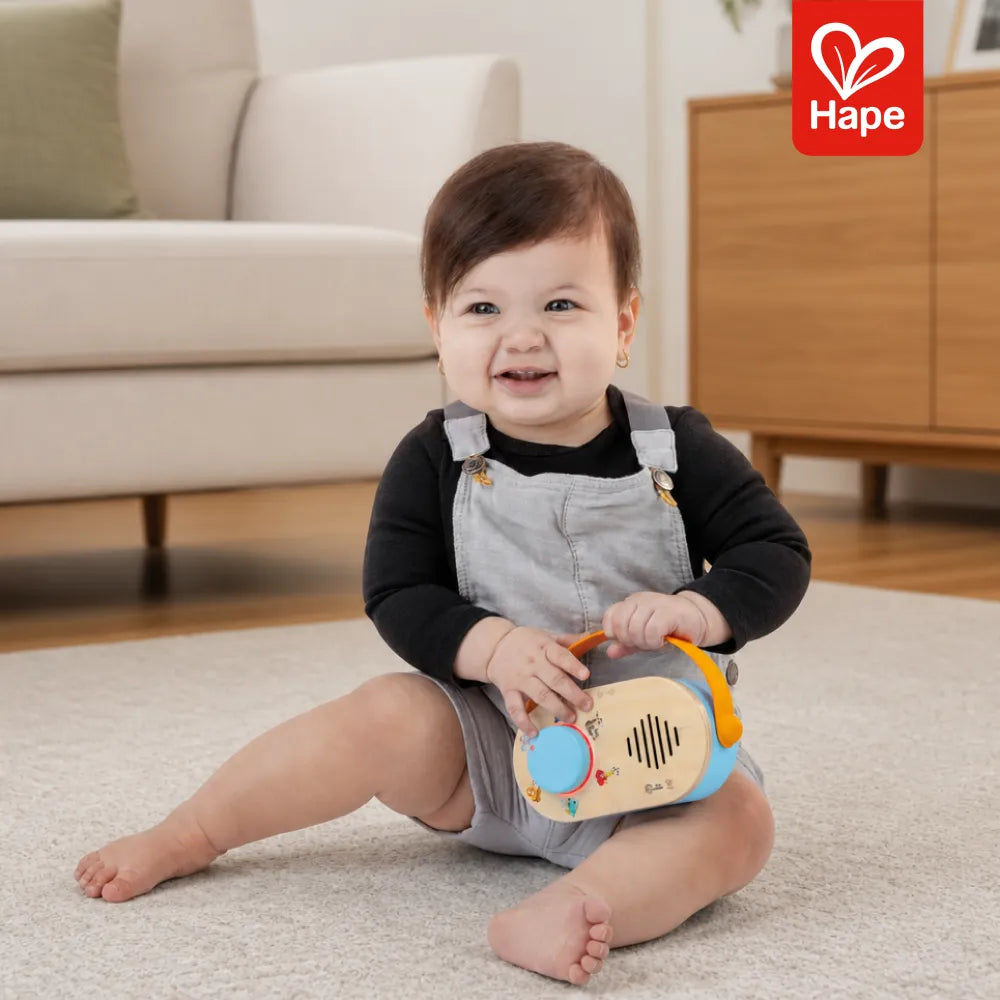 Rádio Discovery FM Magic Touch Hape - imagem 2