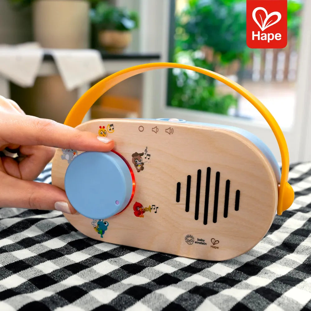 Rádio Discovery FM Magic Touch Hape - imagem 5