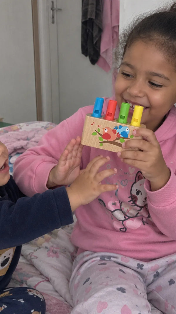 Flauta de Pã Arco-Íris Hape CLI4