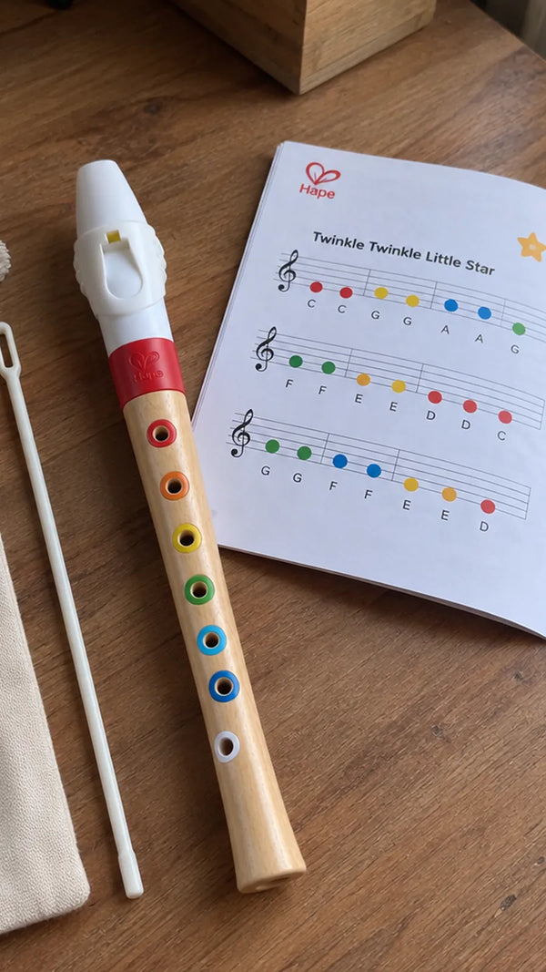 Mini Flauta Doce Hape CLI2
