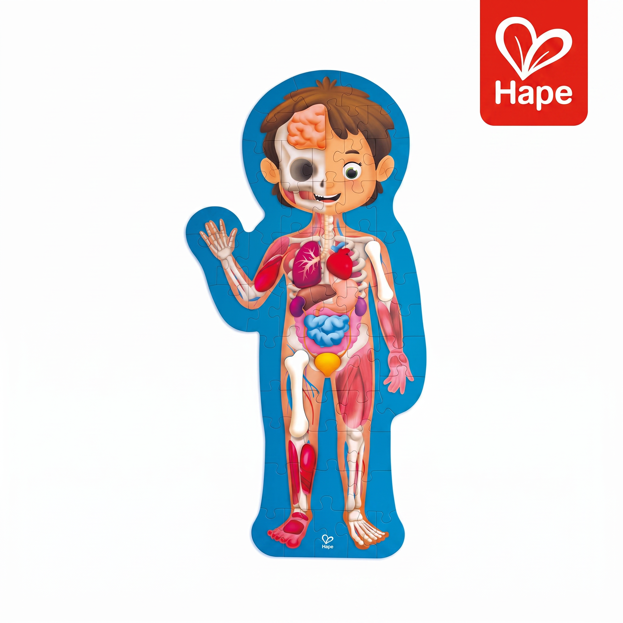 Quebra-Cabeça Corpo Humano Gigante 3D e Anatomia Infantil | Hape