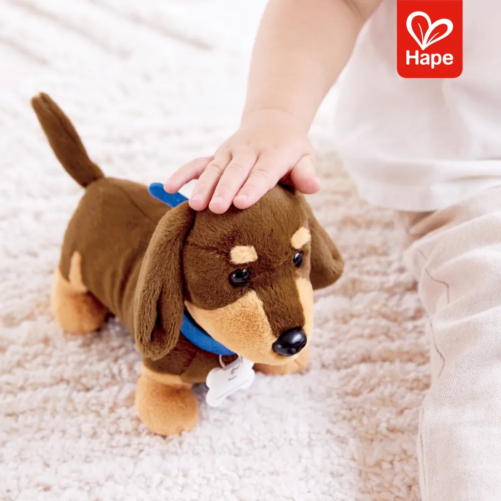 Kit Veterinário com Filhote Hape - imagem 4