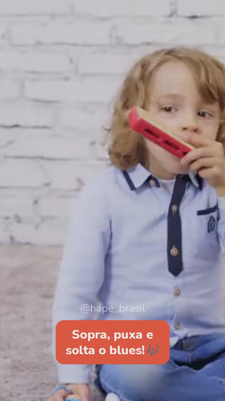 Vídeo do Gaita Blues Vermelha de Madeira 10 Furos Hape