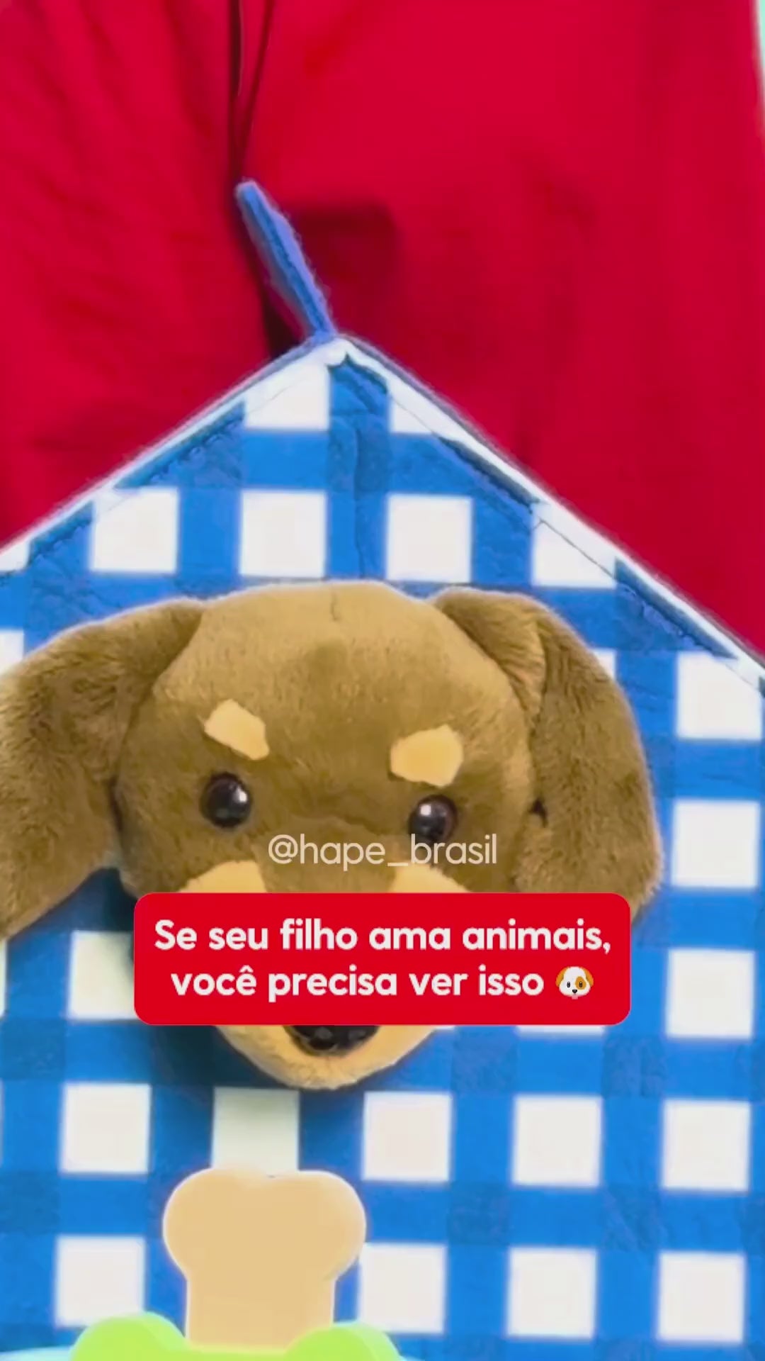 Kit Veterinário com Filhote Hape - vídeo