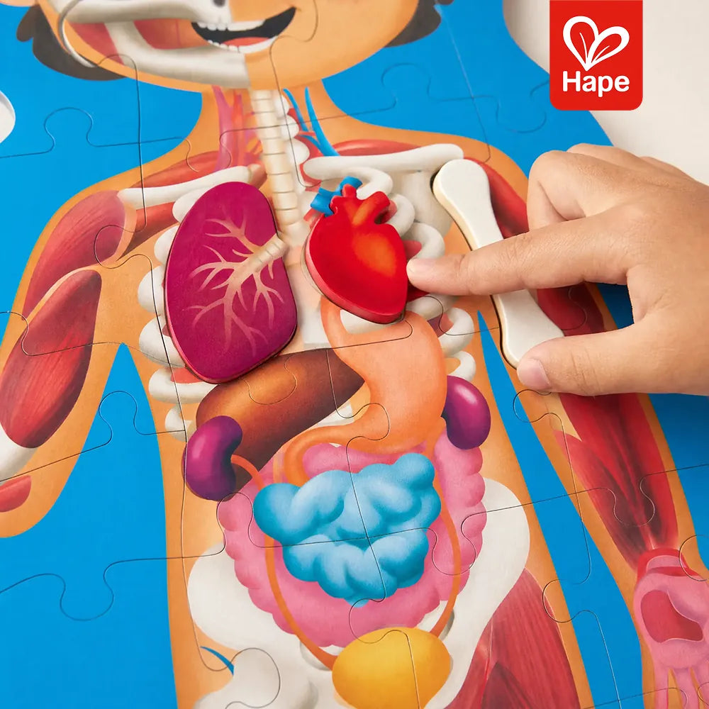 Quebra-cabeça Corpo Humano 50 peças Hape - imagem 4