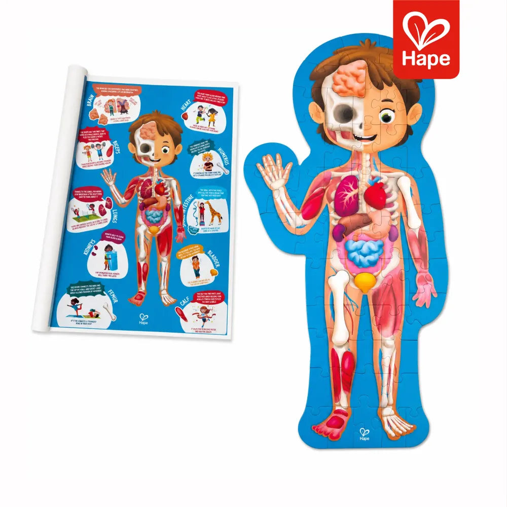 Quebra-cabeça Corpo Humano 50 peças Hape - imagem 5