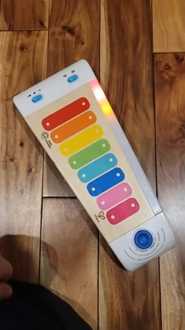 Cliente com o Xilofone Magic Touch Hape 2
