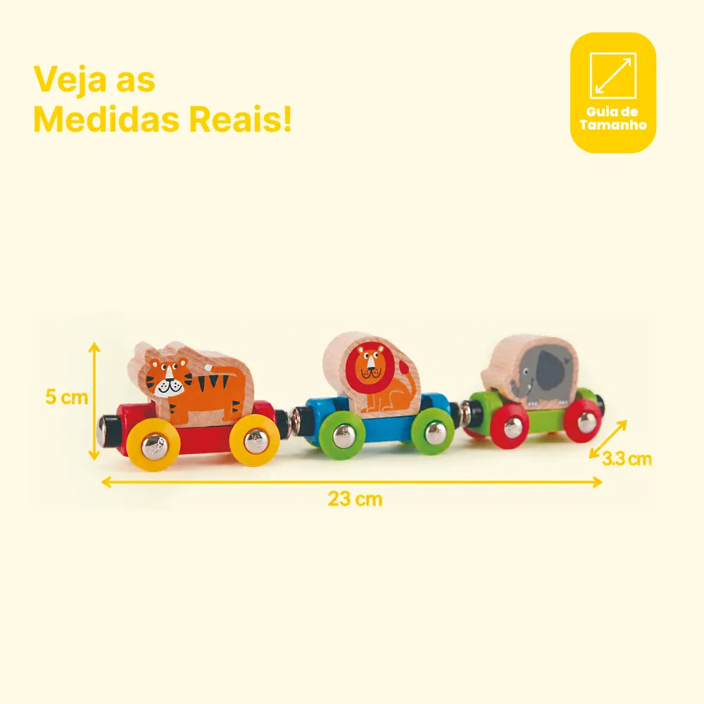 Trem da Selva Hape, foto 8
